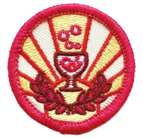 Scout Badges Scout Badges