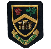 School Badges - Portfolio