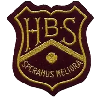 School Badges - Portfolio