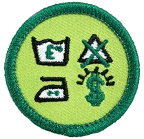 Scout Badges - Portfolio