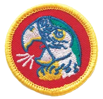 Scout Badges - Portfolio