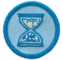 Scout Badges - Portfolio