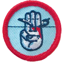 Scout Badges - Portfolio