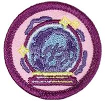 Scout Badges - Portfolio