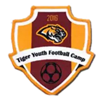 woven Badges - Portfolio